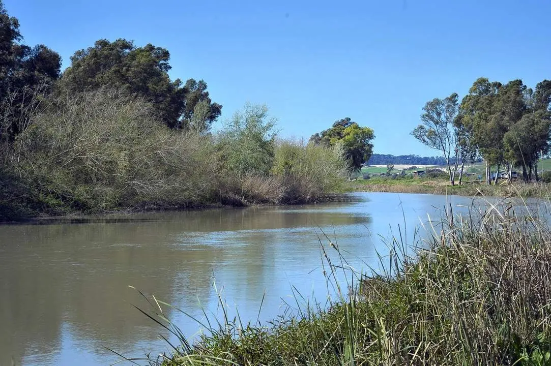 El r&iacute;o Guadalete, a su paso por Jerez.  - Andaluc&iacute;a Informaci&oacute;n