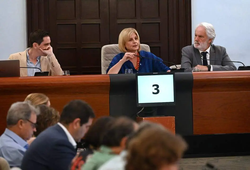 Un momento del Pleno.  - Viva