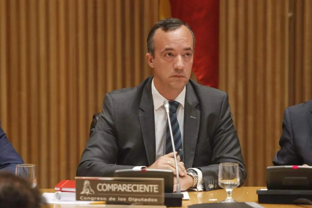 Francisco Mart&iacute;nez. - Europa Press