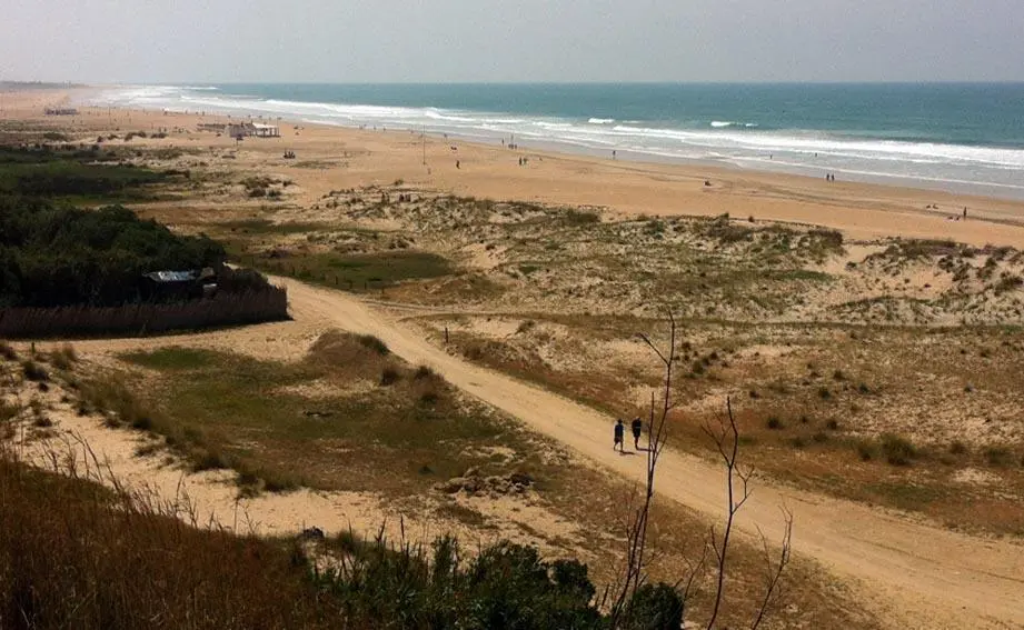 Imagen de la playa conile&ntilde;a Los Bateles, ahora cerrada por la crisis sanitaria del coronavirus.  - G.L.