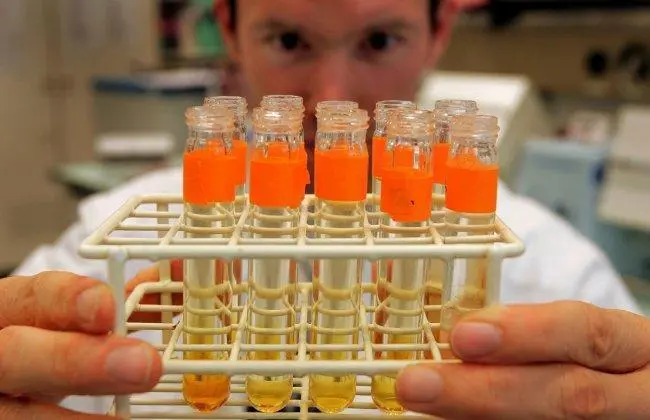 Laboratorio de investigaci&oacute;n. | EFE.