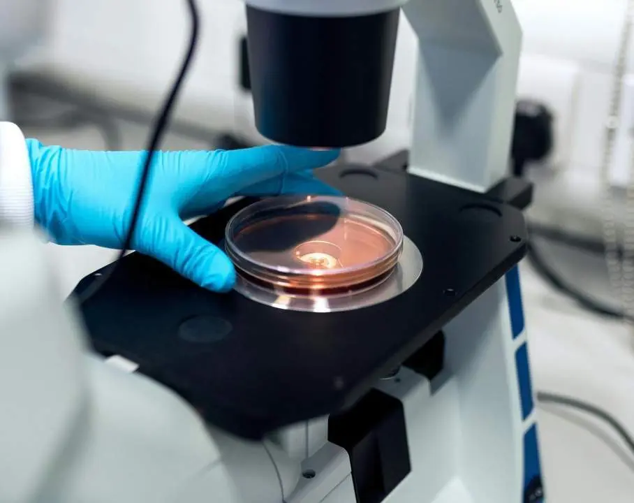 Microscopio. - Pexels - Foto de ThisIsEngineering 