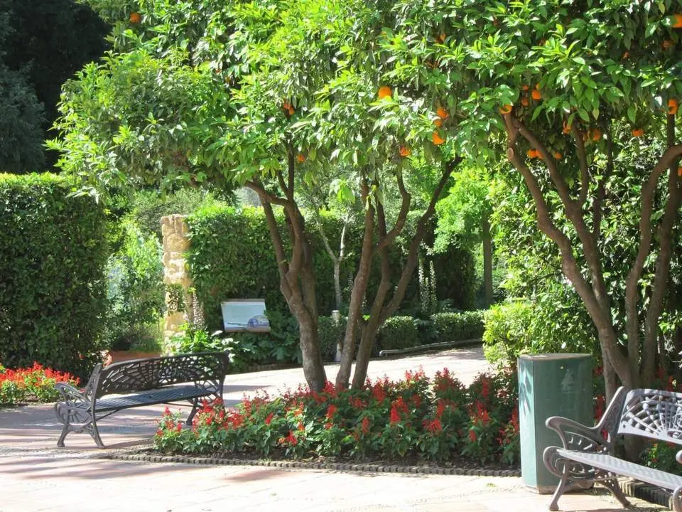 lores, arbustos y &aacute;rboles del Jard&iacute;n Bot&aacute;nico de C&oacute;rdoba. - EP