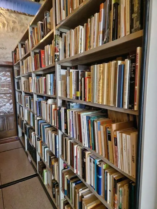 La biblioteca de Salvatierra. - EP