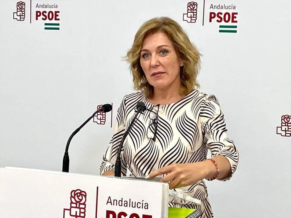 La parlamentaria andaluza del PSOE Ana Romero, foto de recurso. - PSOE