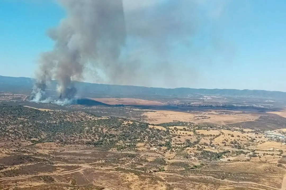 Incendio en El Cerro de And&eacute;valo. - INFOCA