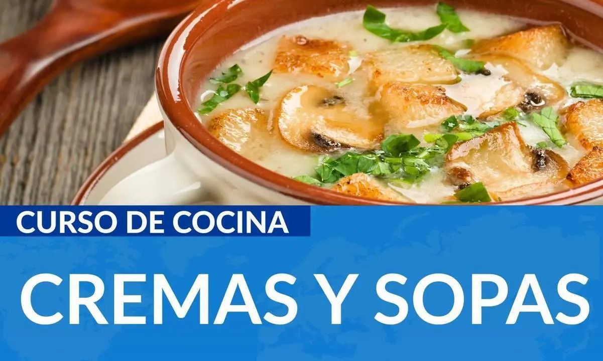 CURSO CREMAS Y SOPAS. - viva