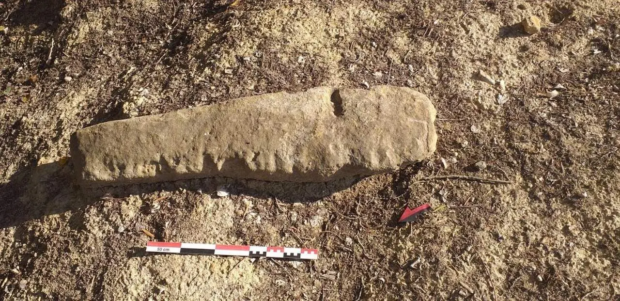 Restos hallados en la excavaci&oacute;n de Taralpe. - AYTO. ALHAUR&Iacute;N DE LA TORRE