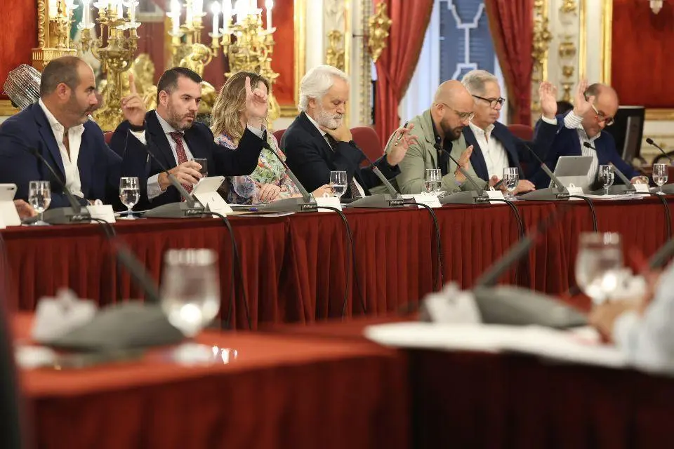 Votaci&oacute;n en el Pleno de Diputaci&oacute;n de C&aacute;diz. - AI