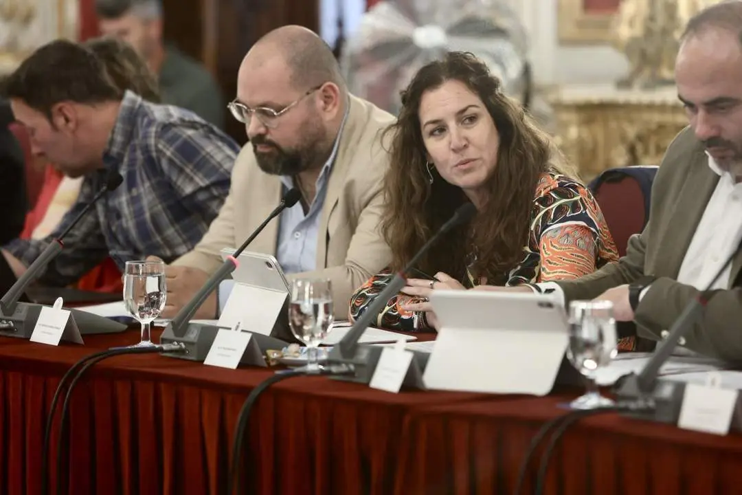 La diputada de Servicios Sociales, Familias e Igualdad, Paula Conesa. - VIVA