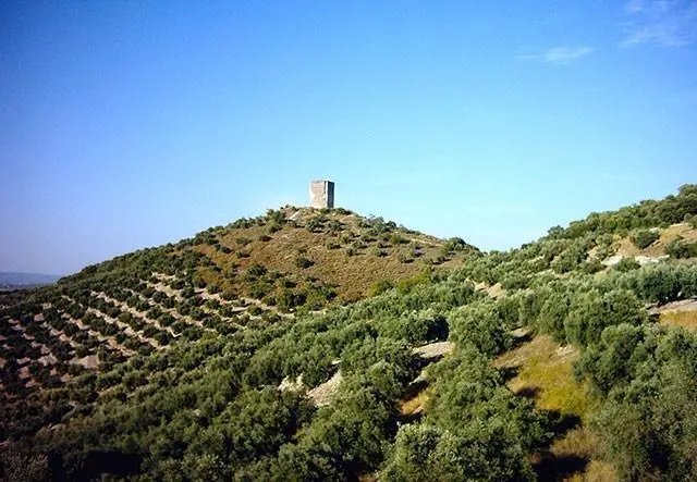 Castillo Anzur. - 