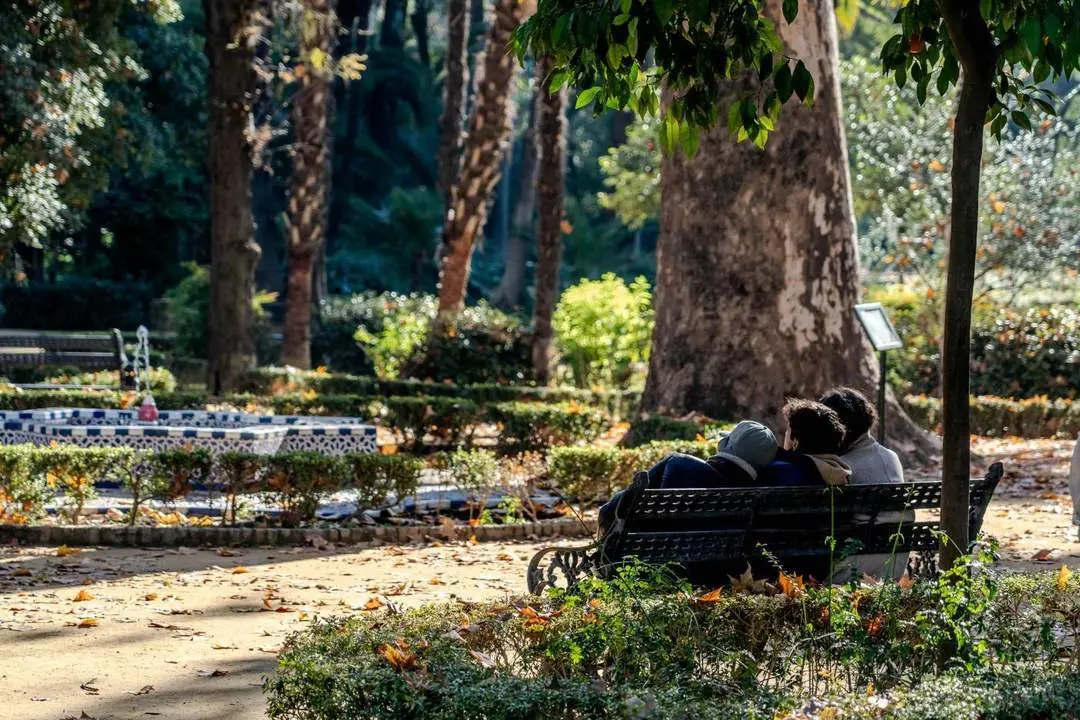 Parque de Mar&iacute;a Luisa en Sevilla. - Archivo