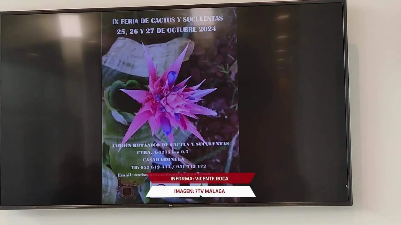 La IX Feria de Cactus y Suculentas llega a Casarabonela