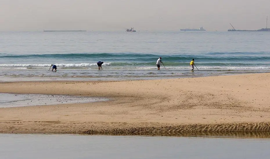 Marisqueo de coquinas - J.A.