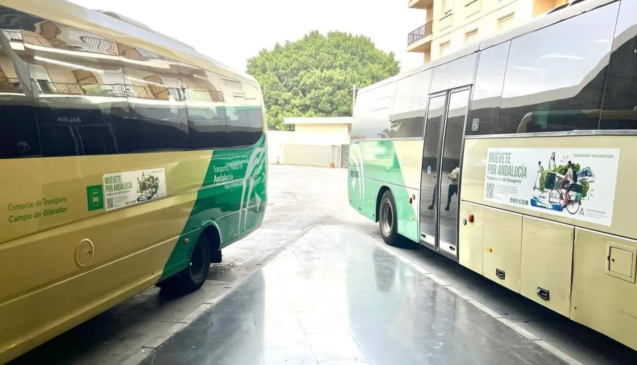Autobuses interurbanos de La L&iacute;nea. - AI