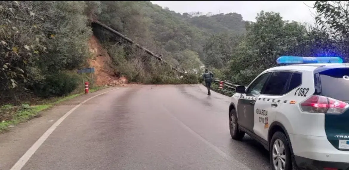 Un &aacute;rbol obstruye la circulaci&oacute;n en una carretera de Vejer. - Ayto. Vejer