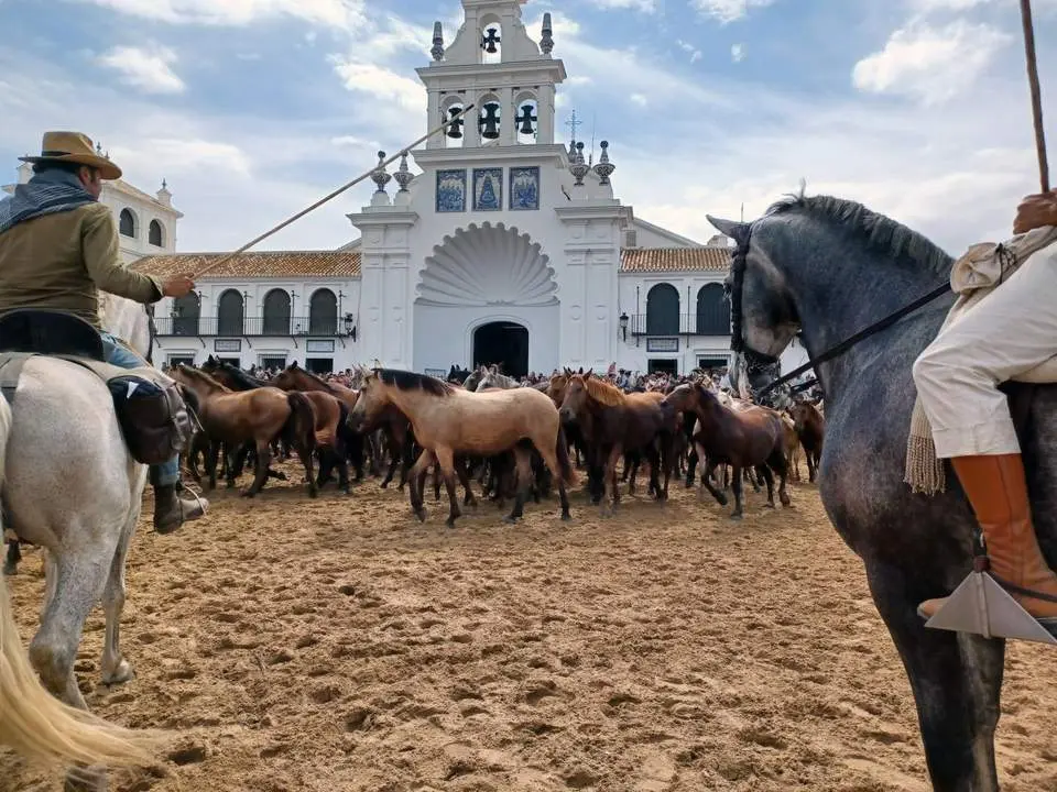 Paso de las yeguas y sus potros ante el Santuario del Roc&iacute;o. - JUAN CHICANO / EFE