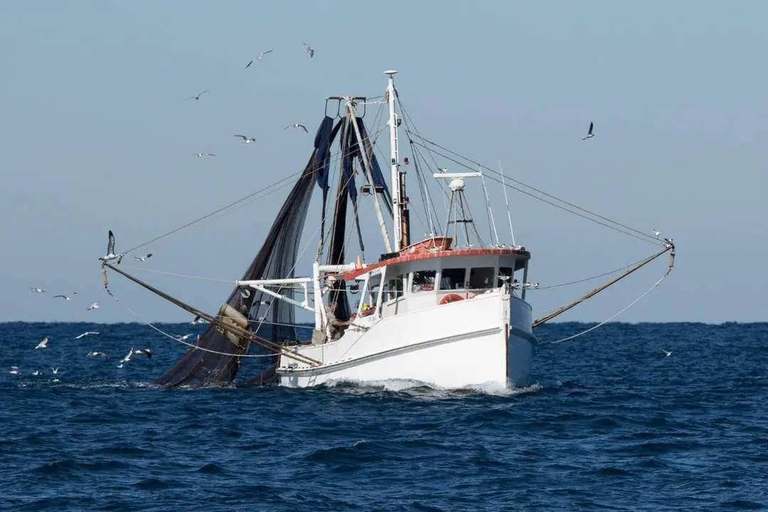 Pesca Golfo de C&aacute;diz - J.A
