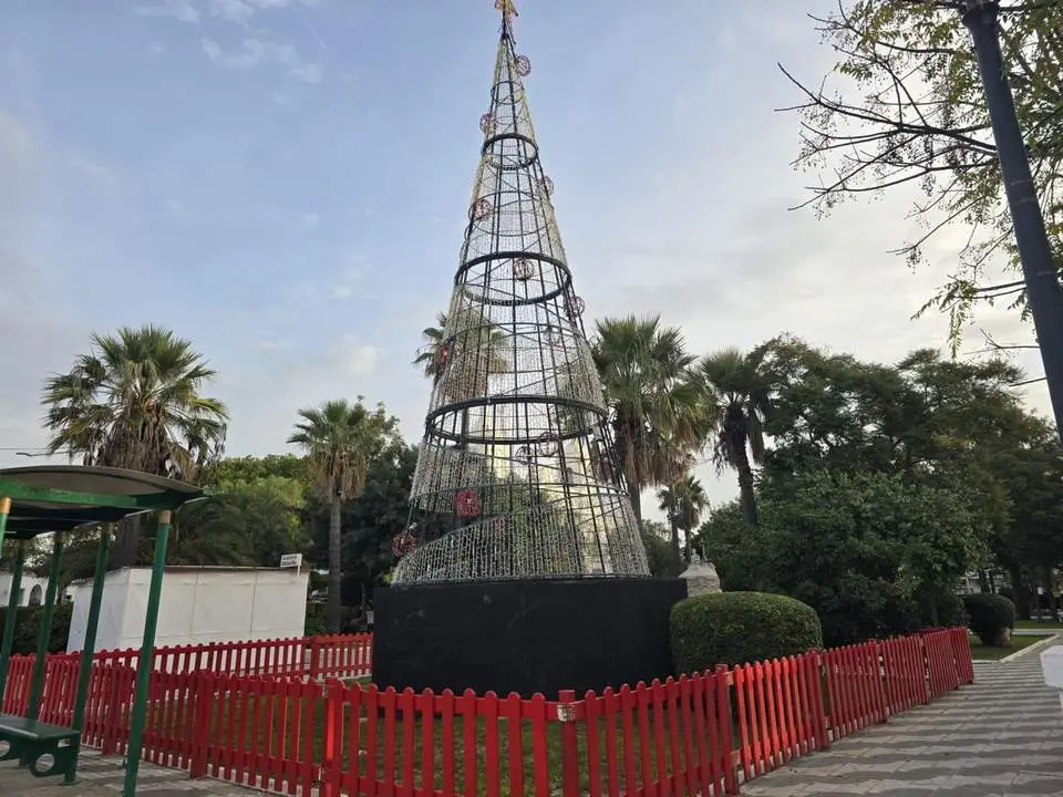 &Aacute;rbol de Navidad de la Plaza de la Inmaculada. - 