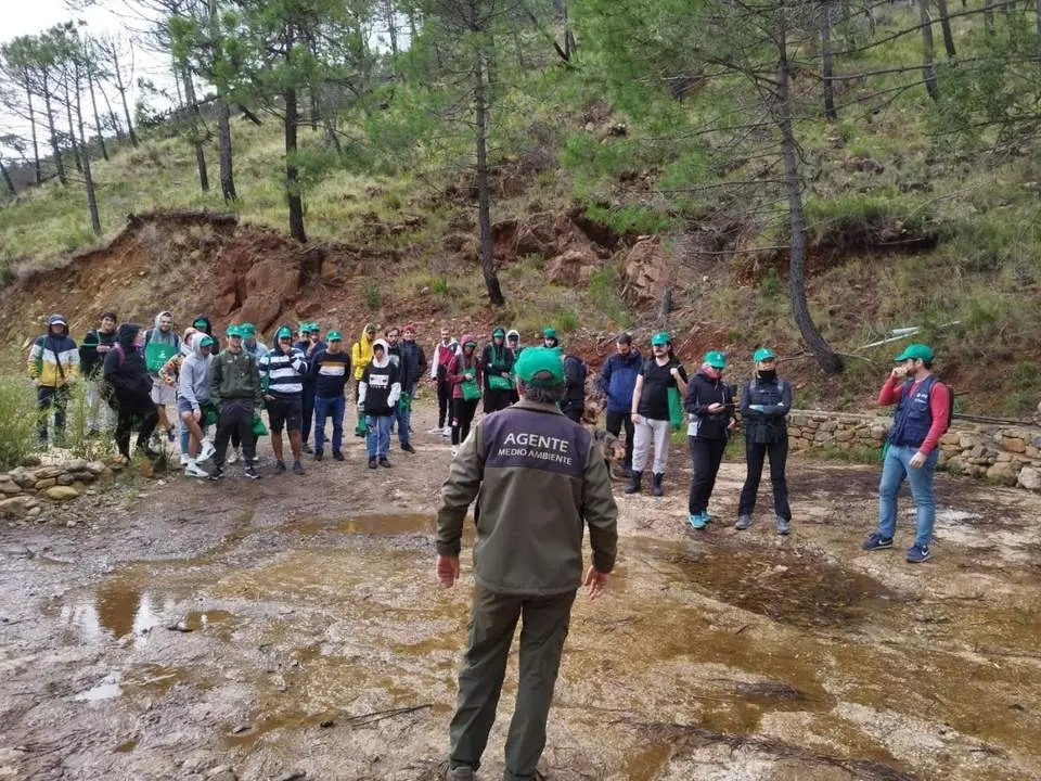 Reforestaci&oacute;n de Sierra Bermeja. - CIFAL