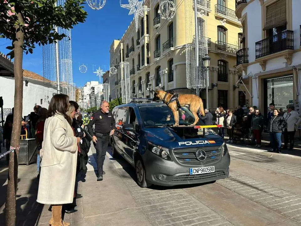 Desfile por el D&iacute;a de la Constituci&oacute;n en Ronda. - RS
