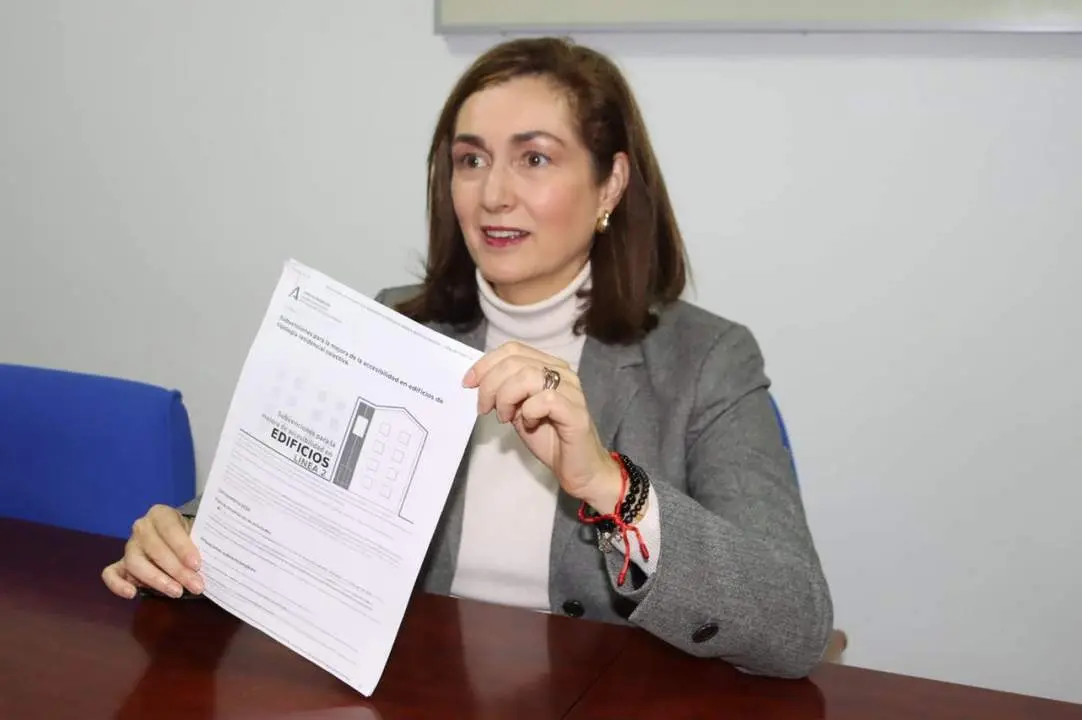 La delegada de Derechos Sociales anunci&oacute; la l&iacute;nea de ayudas.  - RS