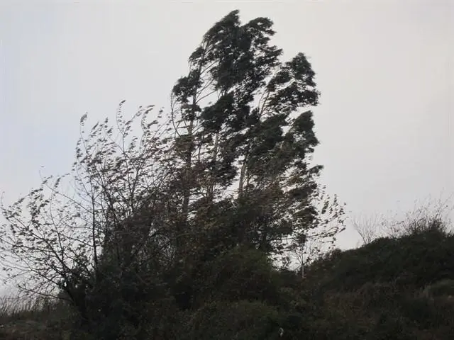 Viento - EP