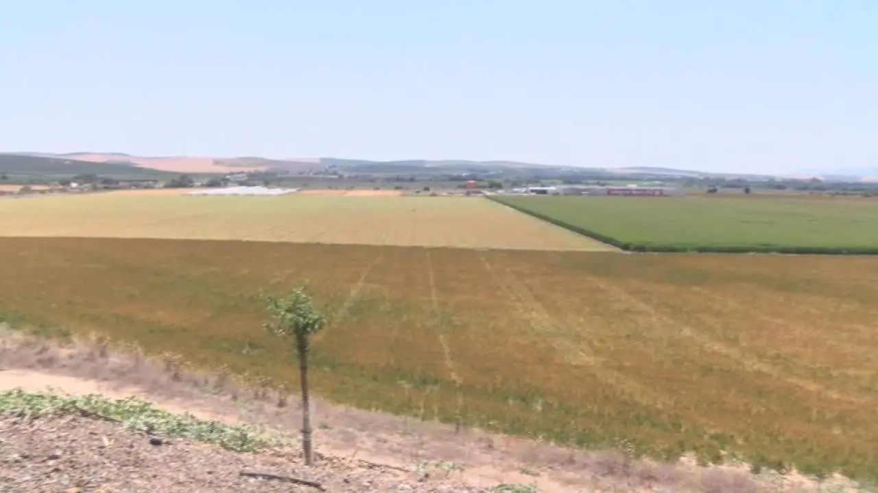 Terreno de la base log&iacute;stica. - VIVA C&Oacute;RDOBA