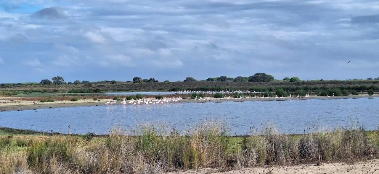 Laguna de Santa Olalla este martes.  - JOAQU&Iacute;N P&Aacute;EZ