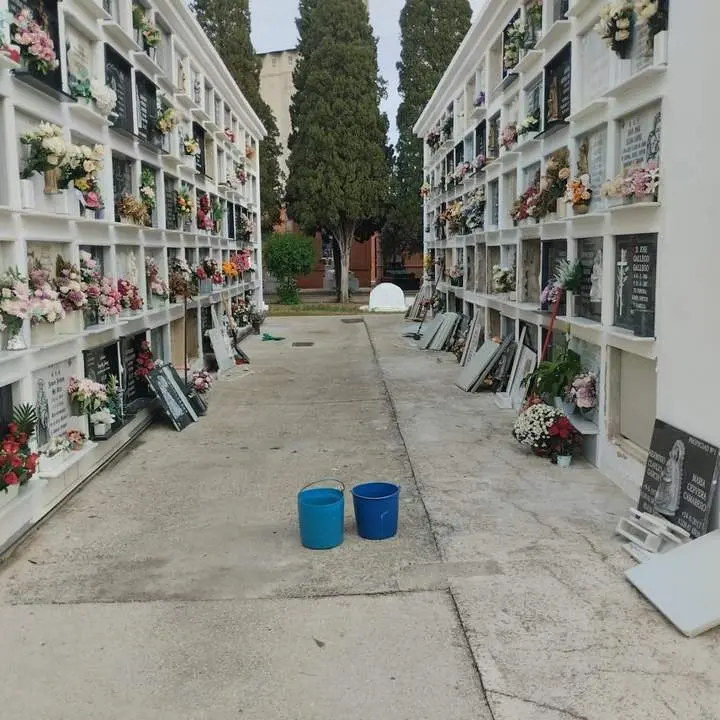 Profanaci&oacute;n en el Cementerio de Utrera. - EP