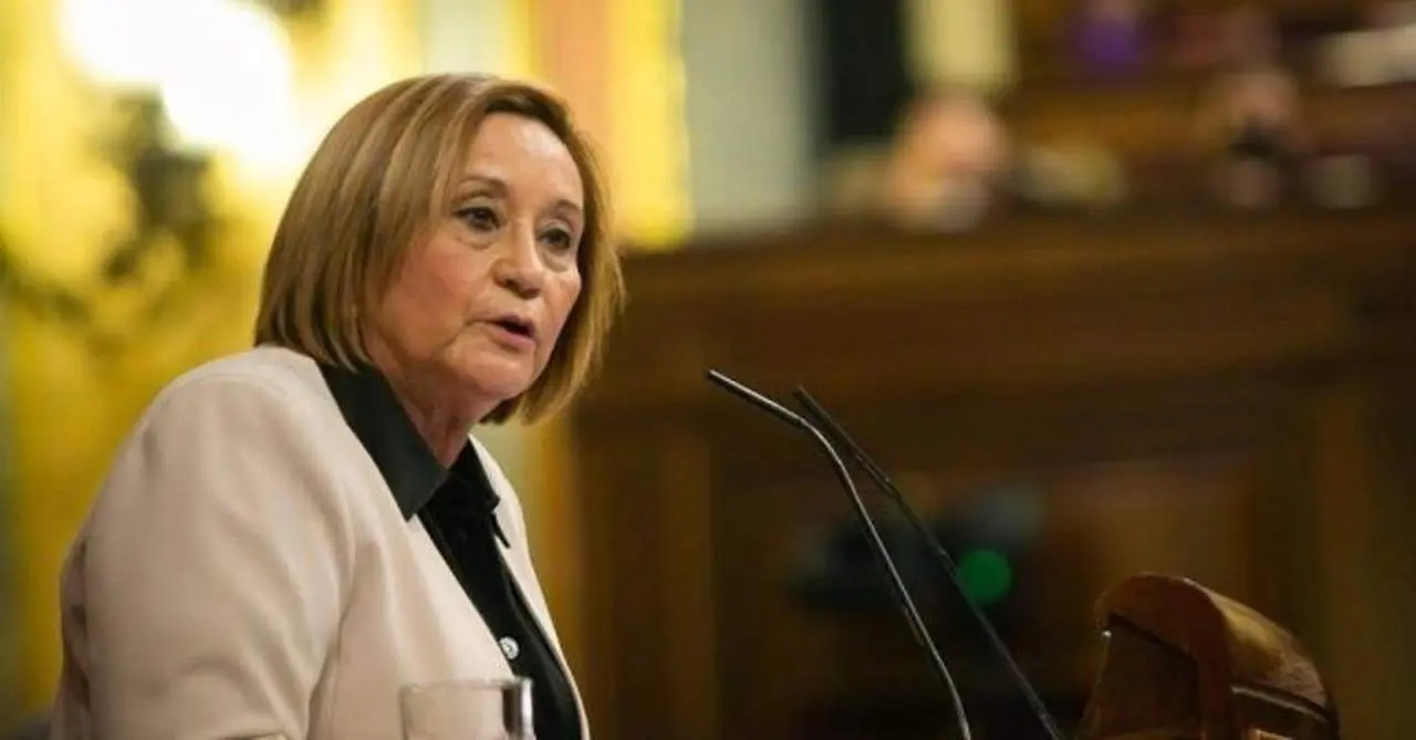 La diputada nacional por el PSOE de Huelva, Mar&iacute;a Luisa Faneca.  - PSOE Huelva