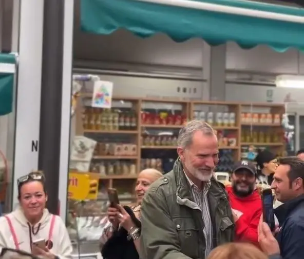 El Rey en Catarroja. - CEDIDA A EUROPA PRESS