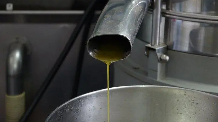 Imagen de archivo de la extracci&oacute;n de aceite en una almazara. - 