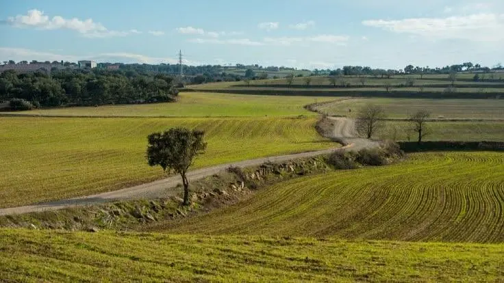 Una explotaci&oacute;n agraria. - Europa Press