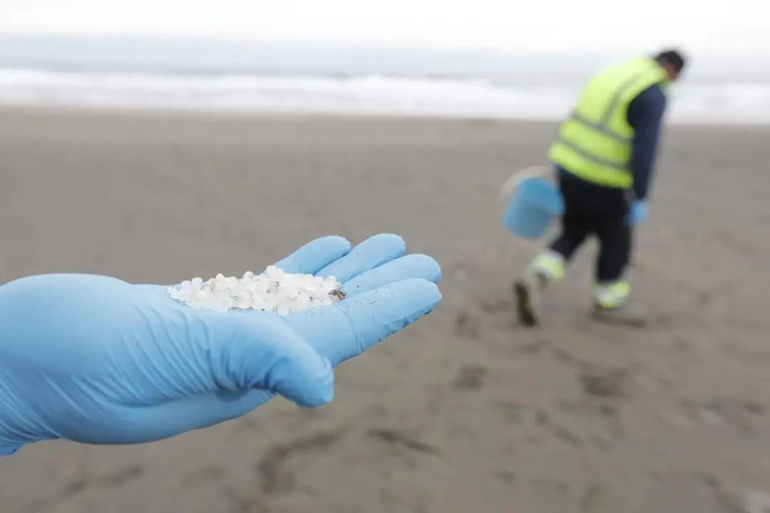 Un operario de TRAGSA coge con la mano pellets de pl&aacute;stico. - Europa Press
