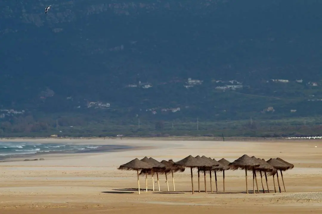 Vista general de la playa de Los Lances, en Tarifa (C&aacute;diz), totalmente vac&iacute;a a causa del confinamiento por el estado de alarma a causa del coronavirus. -  EFE/Carrasco Ragel/Archivo