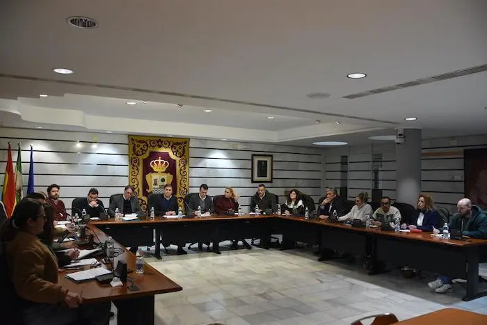 Pleno municipal de Punta Umbr&iacute;a, enero 2025 - A.P.U.