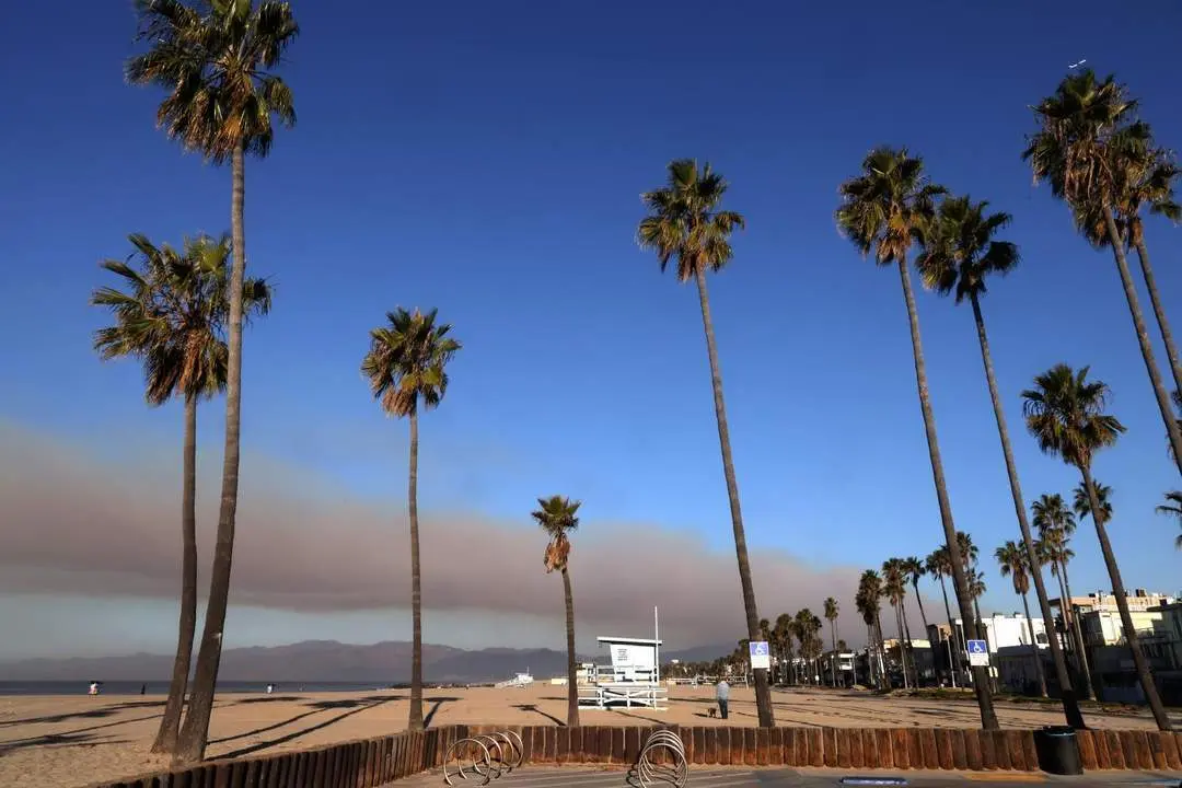 January 11, 2025, Los Angeles, California, USA - Jonathan Alcorn