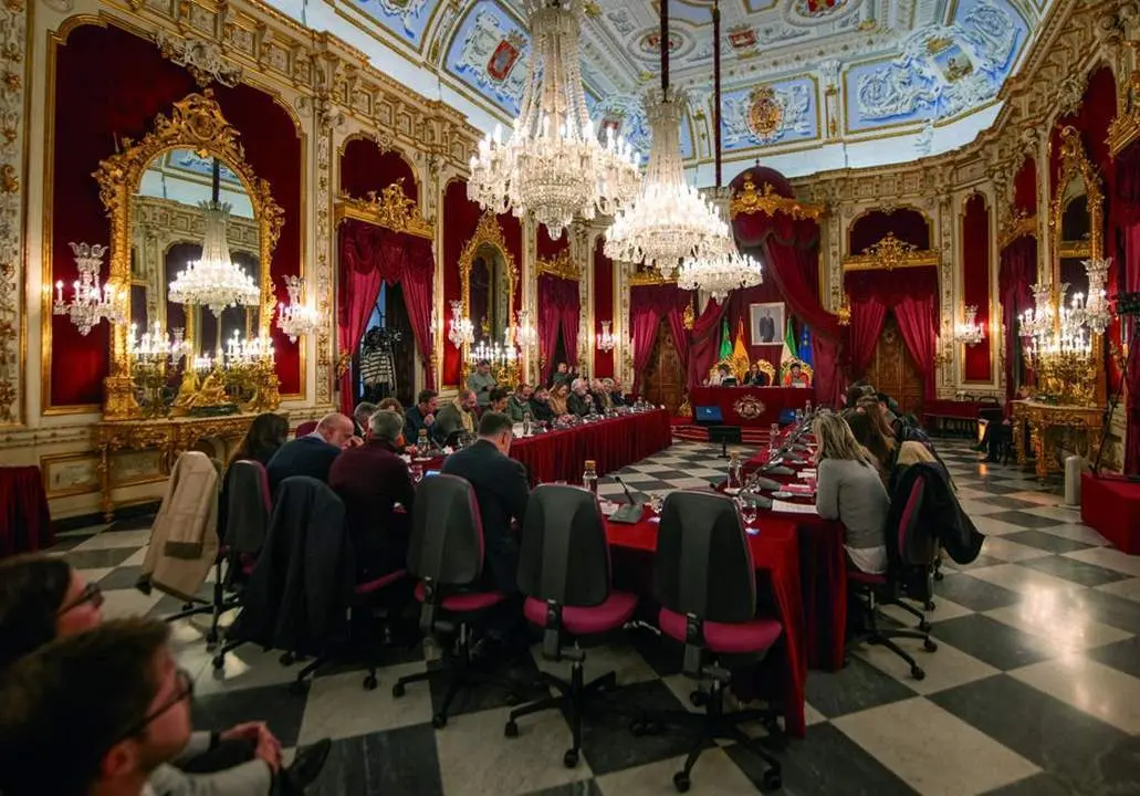 Pleno de presupuestos de la Diputaci&oacute;n de C&aacute;diz. - VIVA