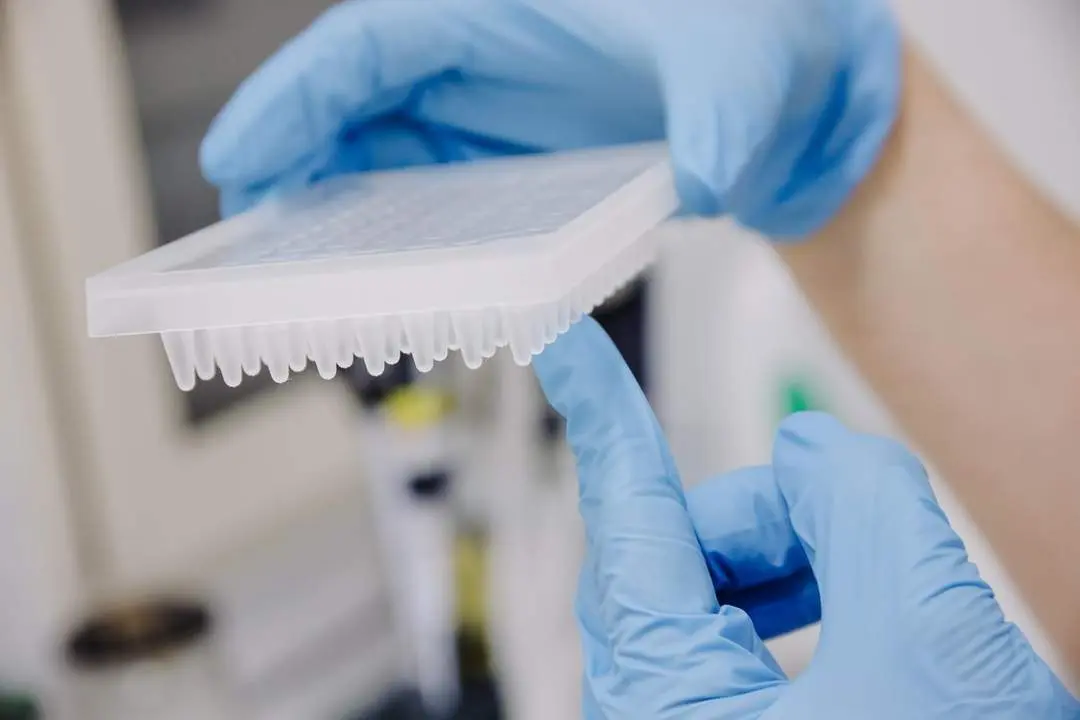 Laboratorio. | Europa Press.