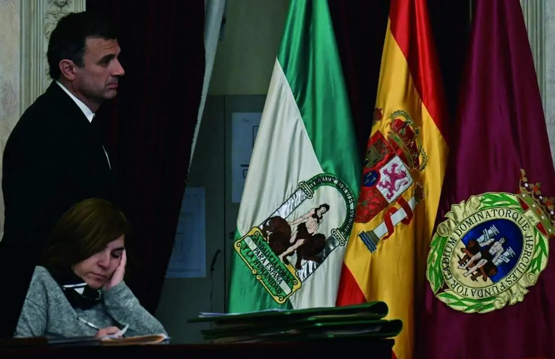 El alcalde, Bruno Garc&iacute;a, en el Pleno. - VIVA
