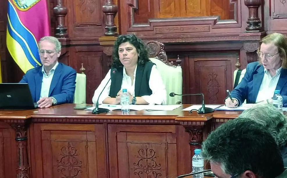 La alcaldesa de Sanl&uacute;car, Carmen &Aacute;lvarez, en el Pleno. - VIVA