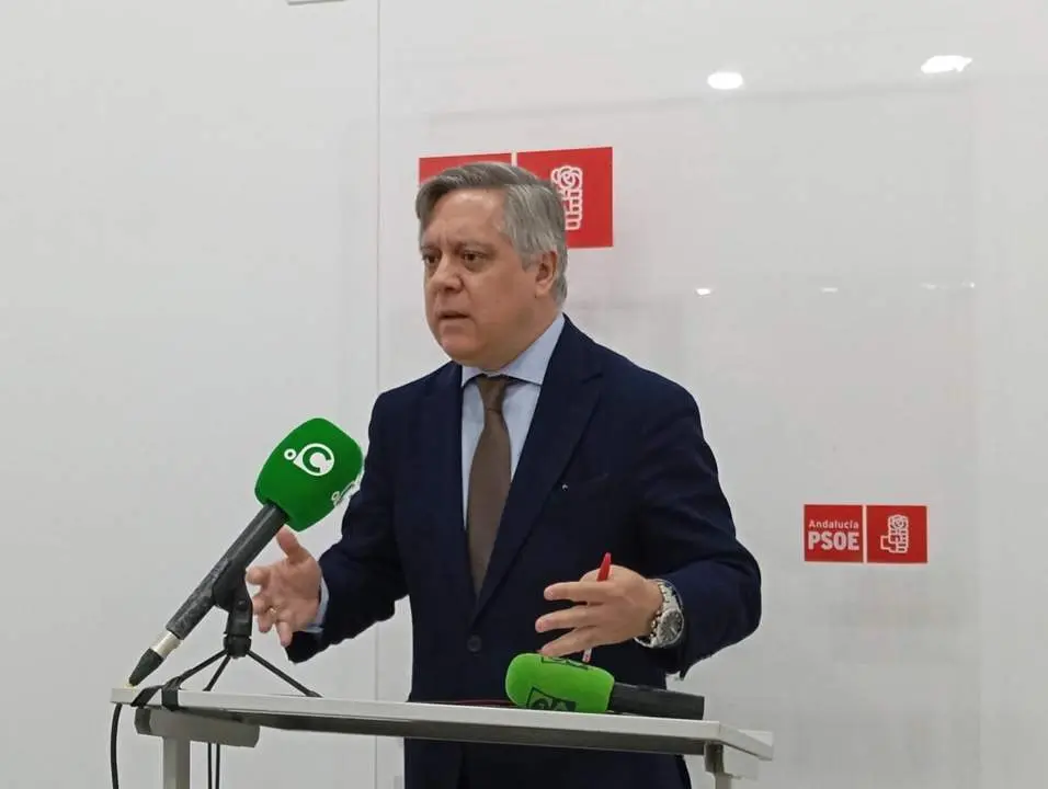 El portavoz municipal del PSOE, &Oacute;scar Torres. - VIVA