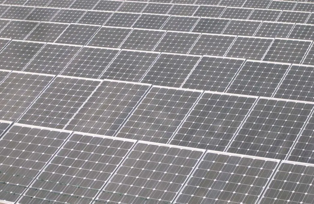 Parque fotovoltaico.  - Europa Press