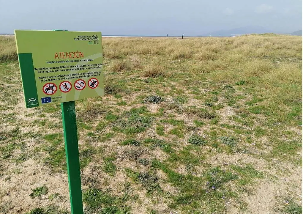 Paraje Natural Playa de Los Lances, en el litoral de Tarifa. - Junta