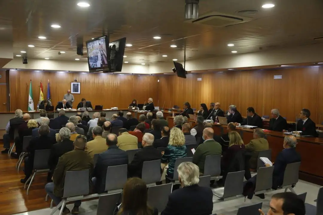 Una de las vistas del Caso Astapa (archivo). - &Aacute;lex Zea/Europa Press