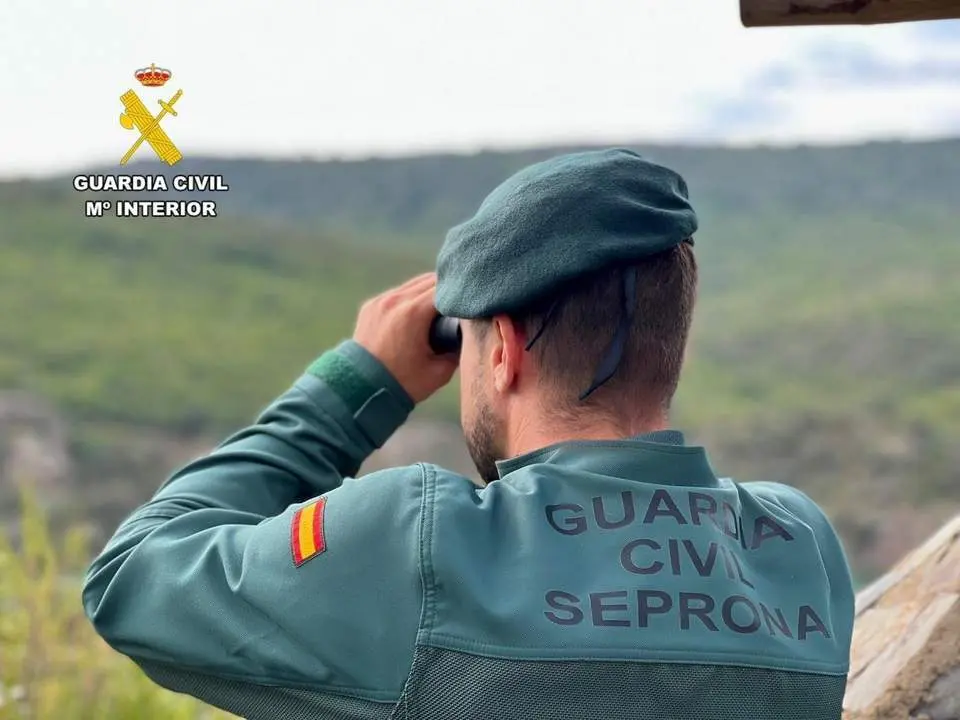 Un agente del Seprona. - Archivo