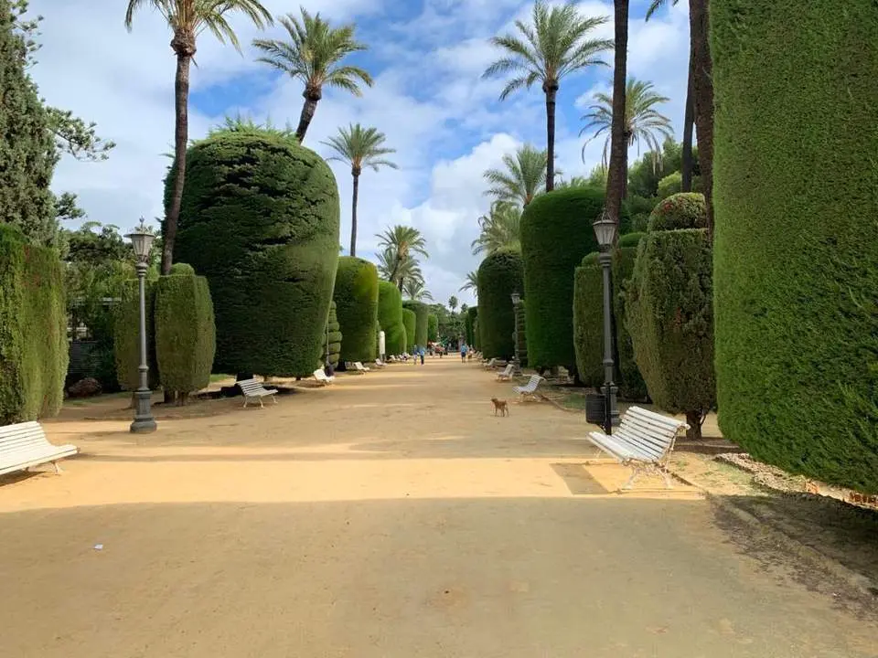 Parque Genov&eacute;s. - Jes&uacute;s Mej&iacute;as