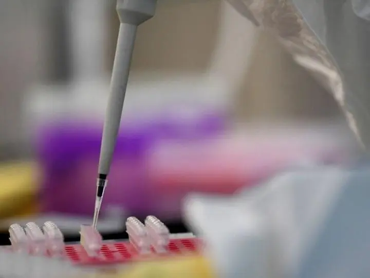 Laboratorio. | Europa Press.