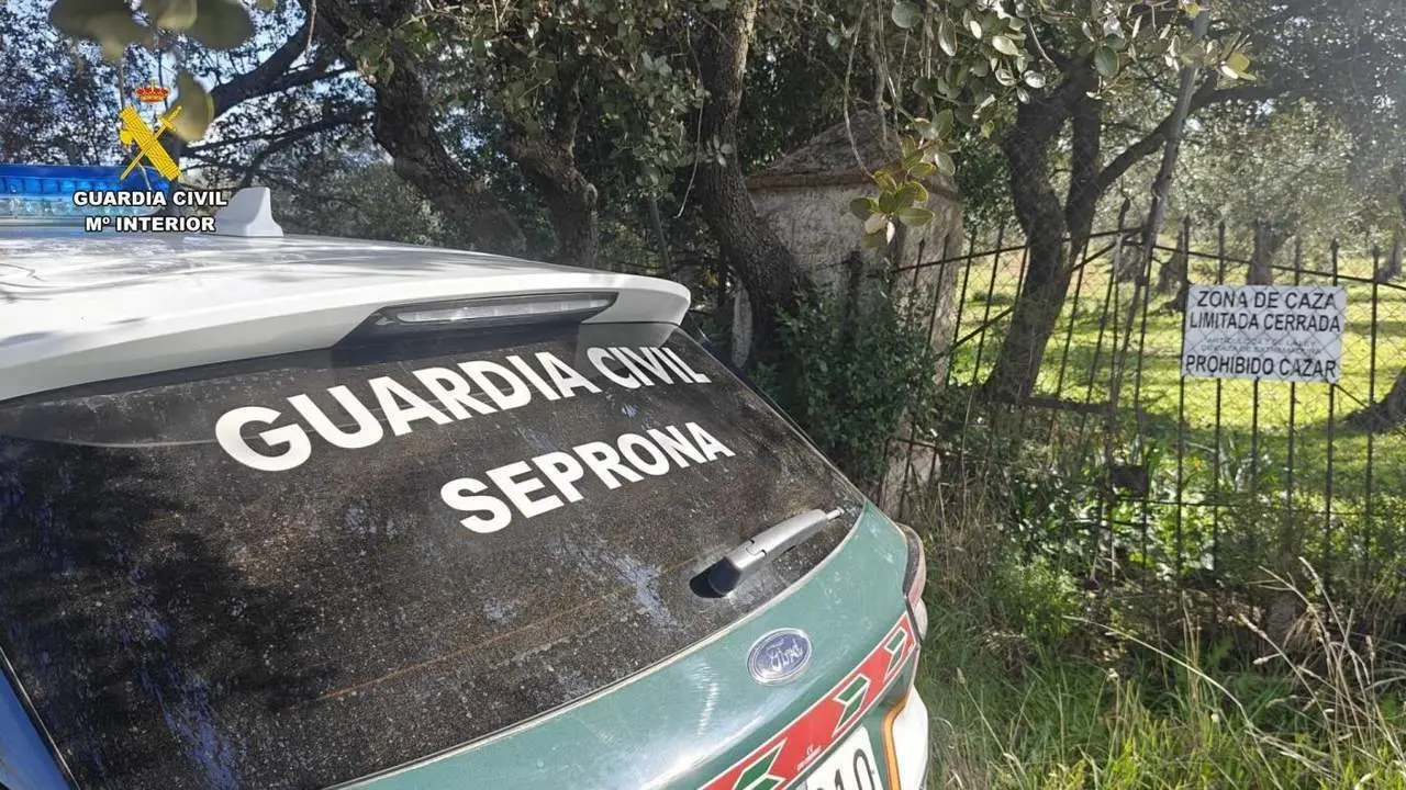 Veh&iacute;culo del Seprona (archivo). - VM